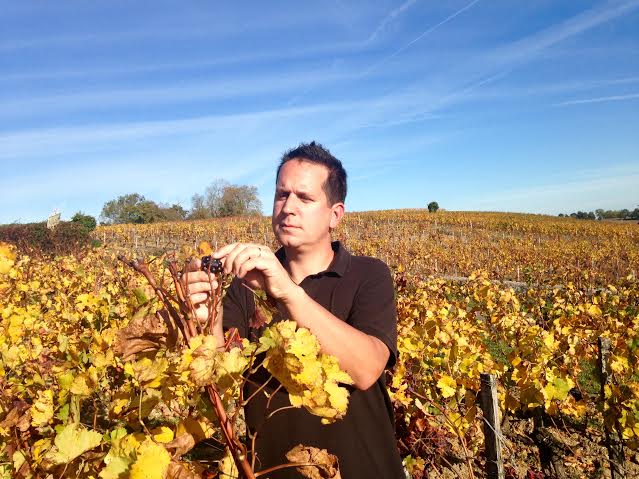 Owner of a small vineyard, Le Roi Lièvre, Canon-Fronsac appellation